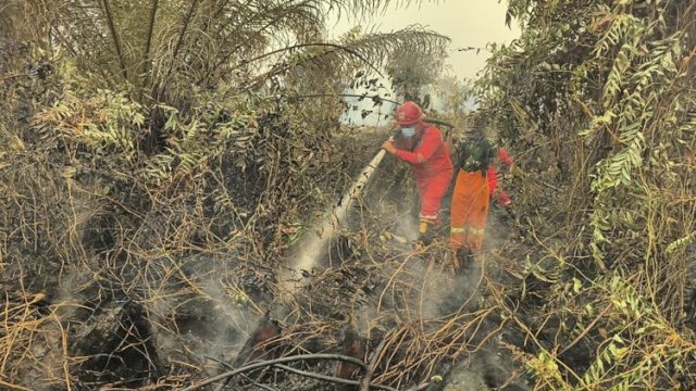 Pengendalian Karhutla Kalteng-Sumsel Diperkuat; 64 Armada Udara Dikerahkan