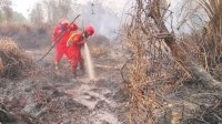 Hotspot Nasional Turun 844 Titik, Menhut-Kepala BNPB Perkuat Pengendalian di Kalteng