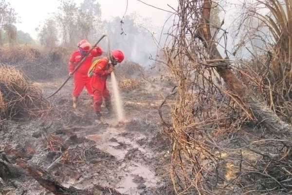 Hotspot Nasional Turun 844 Titik, Menhut-Kepala BNPB Perkuat Pengendalian di Kalteng