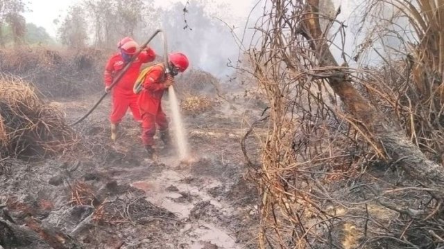 Hotspot Nasional Turun 844 Titik, Menhut-Kepala BNPB Perkuat Pengendalian di Kalteng