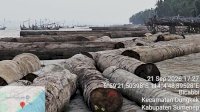 Kemenhut Telusuri Asal Usul 697 Batang Kayu Log Hanyut di Perairan Sumenep