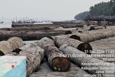 Kemenhut Telusuri Asal Usul 697 Batang Kayu Log Hanyut di Perairan Sumenep