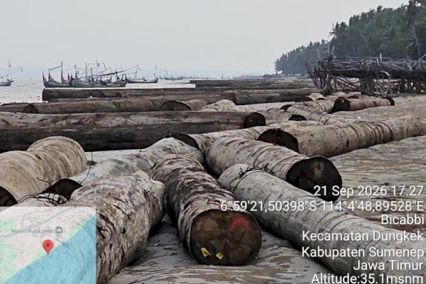 Kemenhut Telusuri Asal Usul 697 Batang Kayu Log Hanyut di Perairan Sumenep