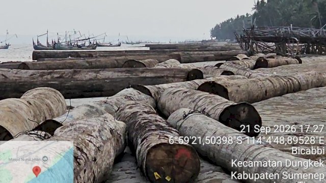 Kemenhut Telusuri Asal Usul 697 Batang Kayu Log Hanyut di Perairan Sumenep