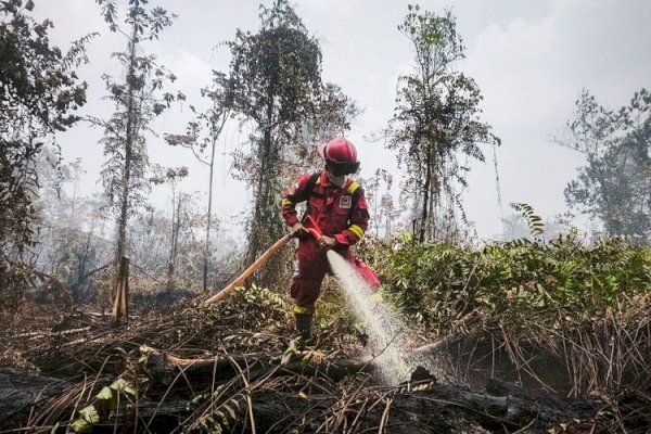 Hotspot Nasional 559 Titik, Kemenhut Perkuat Pengendalian di Kalimantan Tengah