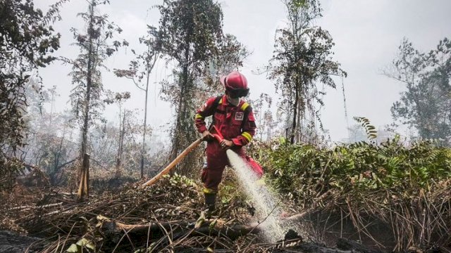 Hotspot Nasional 559 Titik, Kemenhut Perkuat Pengendalian di Kalimantan Tengah