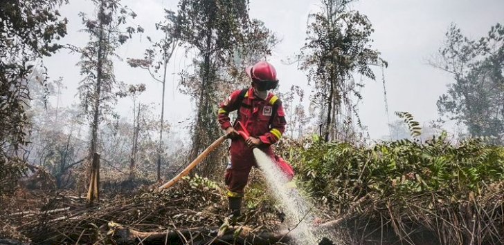 Hotspot Nasional 559 Titik, Kemenhut Perkuat Pengendalian di Kalimantan Tengah
