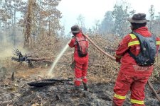 Hotspot Nasional Turun Signifikan, Pengendalian Sumsel-Kalteng Diperkuat