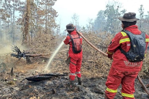 Hotspot Nasional Turun Signifikan, Pengendalian Sumsel-Kalteng Diperkuat