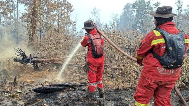 Hotspot Nasional Turun Signifikan, Pengendalian Sumsel-Kalteng Diperkuat