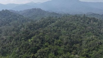Menhut Raja Juli Antoni: Masyarakat Kunci Cegah Karhutla