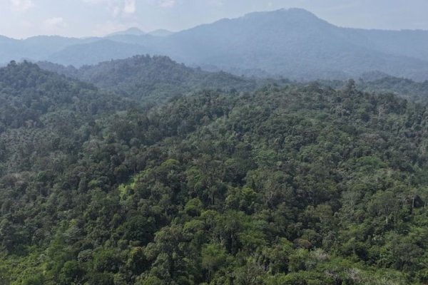 Menhut Raja Juli Antoni: Masyarakat Kunci Cegah Karhutla