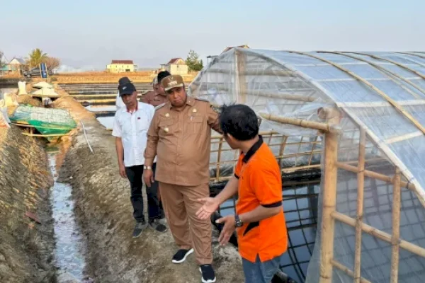 Kemarau Panjang, Tambak Bontoa Maros Dialihfungsikan Jadi Lahan Garam