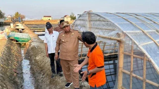 Kemarau Panjang, Tambak Bontoa Maros Dialihfungsikan Jadi Lahan Garam