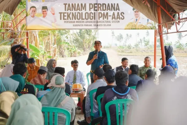 Pinrang Uji Teknologi Pertanian Modern di Lahan 7.900 Hektare, Petani Disiapkan Pendampingan