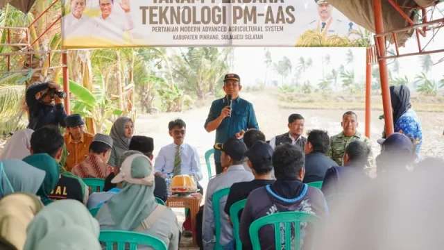 Wakil Bupati Pinrang, Sudirman Bungi, S.IP., M.Si., saat menghadiri kegiatan tanam perdana teknologi pertanian modern Advanced Agricultural System (PM-AAS).