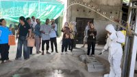 Cegah Wabah ASF, Luwu Timur Perkuat Benteng Biosekuriti 50 Peternak Babi