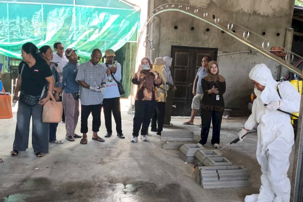 Cegah Wabah ASF, Luwu Timur Perkuat Benteng Biosekuriti 50 Peternak Babi