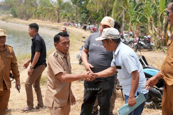 Dari Mappadendang ke IP300, Syaharuddin Alrif Dorong Petani Sidrap Panen Tiga Kali Setahun