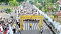 Sukses Kosong Tujuh Fun Run 2026, IKA SMANSA Serui Siapkan Seri Kedua dengan Konsep Berbeda