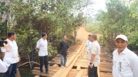 Jembatan Loppe Lapuk dan Berlubang, Bupati Lutim Bidik Pembangunan Permanen 2027