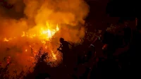 25.600 Hektare Terbakar! Bareskrim Tetapkan 9 Korporasi Tersangka Karhutla di Kalimantan
