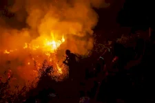 25.600 Hektare Terbakar! Bareskrim Tetapkan 9 Korporasi Tersangka Karhutla di Kalimantan