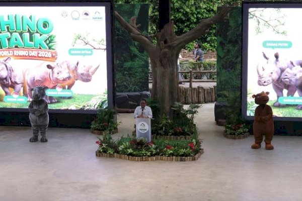 Kado Istimewa Pada Peringatan Badak Sedunia: Dua Induk Badak Bunting di Suaka Rhino Sumatera