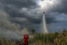 Menhut Pimpin Operasi di Kalimantan Barat, OMC Diperkuat