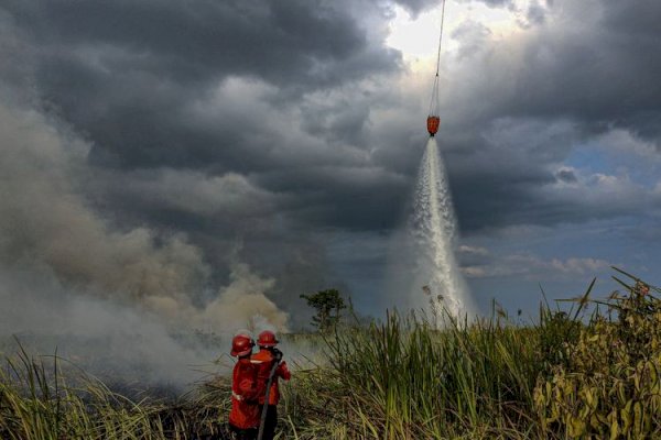 Menhut Pimpin Operasi di Kalimantan Barat, OMC Diperkuat