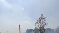 Kemenhut Terus Bergerak: Personel Dikerahkan, Pemadaman Berjalan, Pelanggar Ditindak