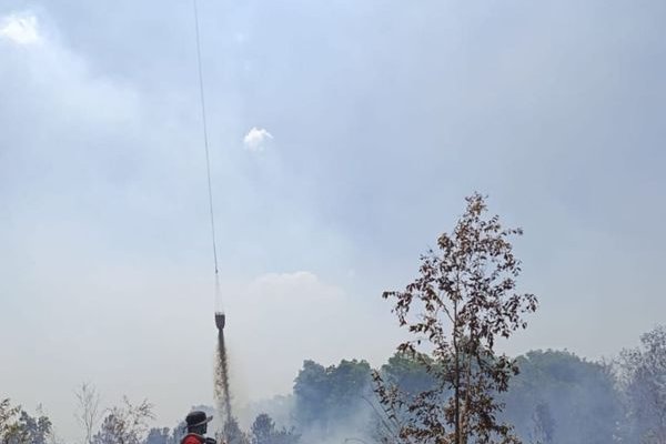 Kemenhut Terus Bergerak: Personel Dikerahkan, Pemadaman Berjalan, Pelanggar Ditindak
