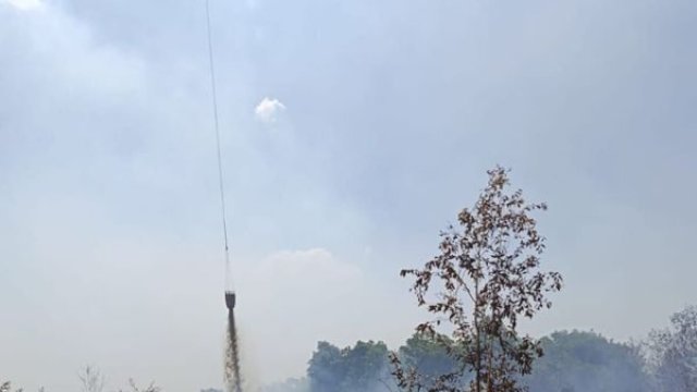 Kemenhut Terus Bergerak: Personel Dikerahkan, Pemadaman Berjalan, Pelanggar Ditindak