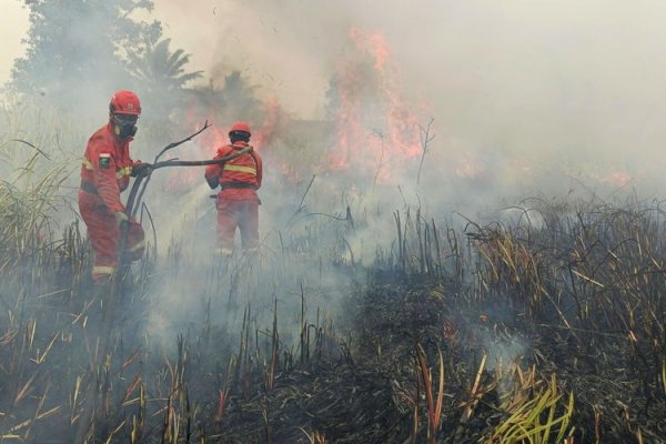Kemenhut Perkuat Operasi Karhutla di Kalteng dan Kalbar, 61 Armada Udara Terus Disiagakan
