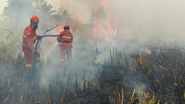 Kemenhut Perkuat Operasi Karhutla di Kalteng dan Kalbar, 61 Armada Udara Terus Disiagakan