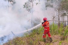 Hotspot Turun 158 Titik, Kemenhut Fokus Operasi Karhutla