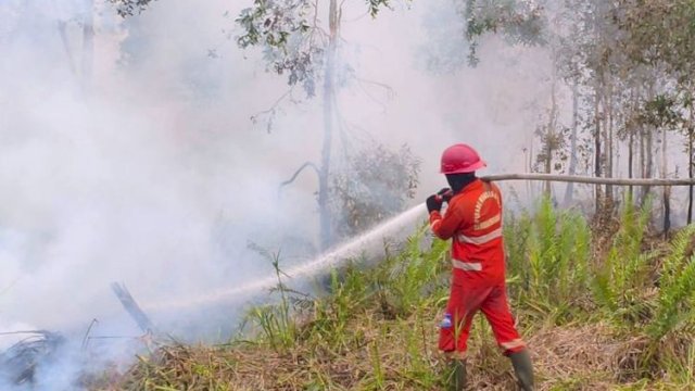Hotspot Turun 158 Titik, Kemenhut Fokus Operasi Karhutla
