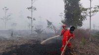 Kemenhut Fokus Pantau Hotspot Karhutla Kalimantan Tengah