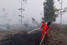 Kemenhut Fokus Pantau Hotspot Karhutla Kalimantan Tengah
