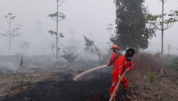 Kemenhut Fokus Pantau Hotspot Karhutla Kalimantan Tengah