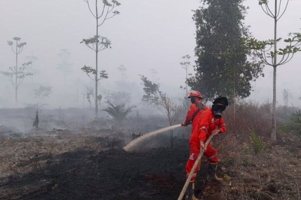 Kemenhut Fokus Pantau Hotspot Karhutla Kalimantan Tengah