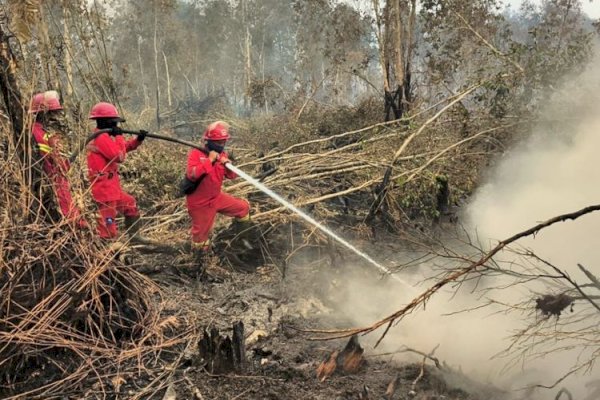 Kemenhut Perkuat Operasi di Kalimantan Tengah dan Jaga Kewaspadaan di Sumatera Selatan