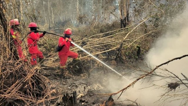 Kementerian Kehutanan terus memperkuat pengendalian kebakaran hutan dan lahan (karhutla) melalui pemantauan intensif, verifikasi lapangan, serta operasi darat dan udara.