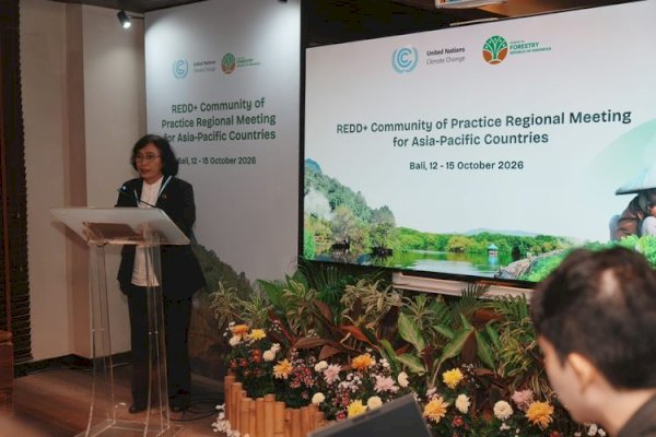 Negara-Negara Asia-Pasifik Perkuat Kolaborasi untuk Tata Kelola Hutan dan Pembiayaan Iklim melalui REDD+