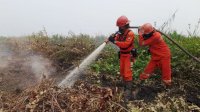Hotspot Nasional 372 Titik, Kemenhut Perkuat Penanganan Lapangan dan Perlindungan TN Tanjung Puting