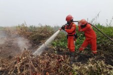 Hotspot Nasional 372 Titik, Kemenhut Perkuat Penanganan Lapangan dan Perlindungan TN Tanjung Puting