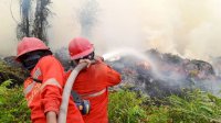 Hotspot Turun 84 Titik, Operasi Karhutla Tetap Diperkuat