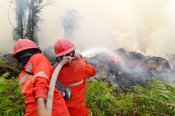 Hotspot Turun 84 Titik, Operasi Karhutla Tetap Diperkuat