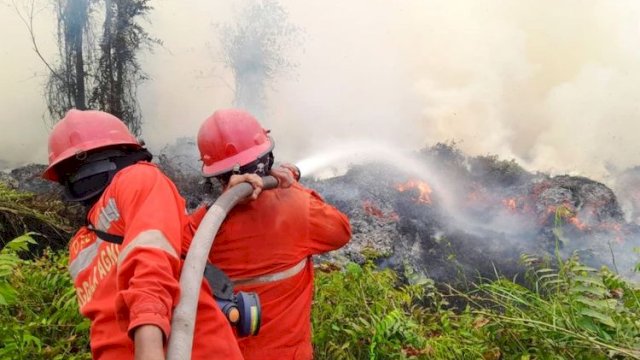 Kementerian Kehutanan terus memperkuat pengendalian kebakaran hutan dan lahan (Karhutla).