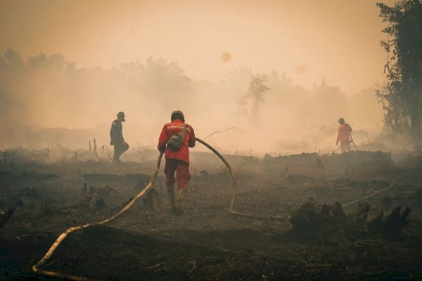 Karhutla Tanjung Puting, Menhut Raja Antoni Tingkatkan Water Bombing